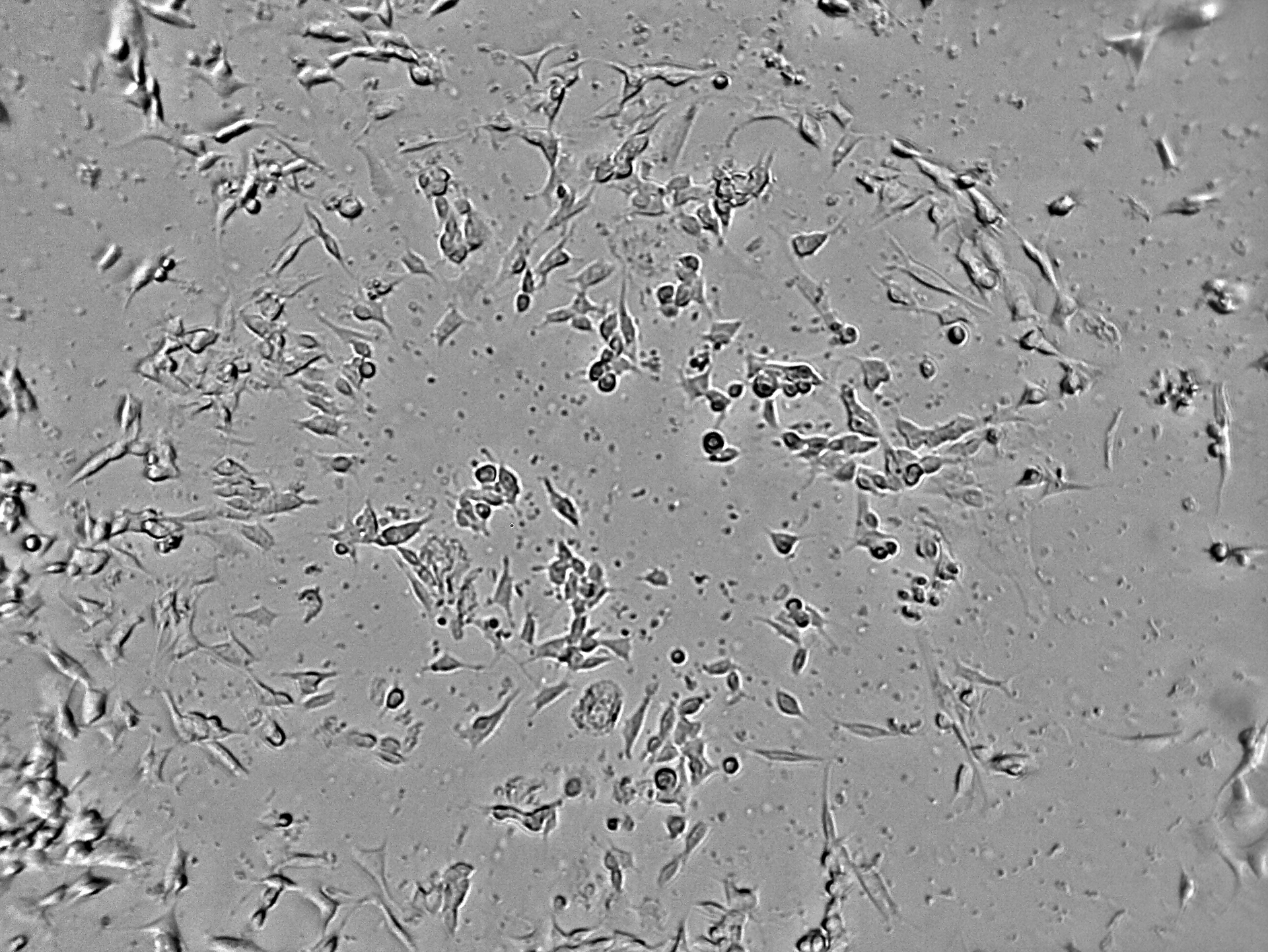 Automatisierung der Zellüberwachung