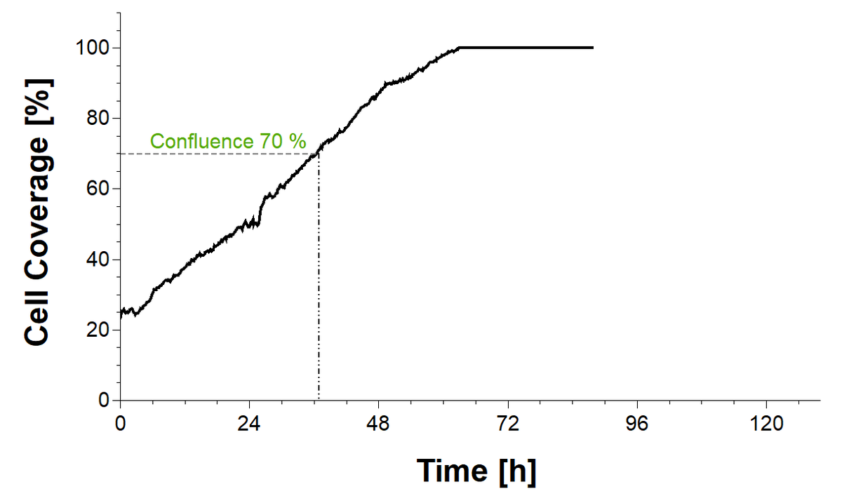 Diagramm hohe Zelldichte nach 90 Stunden