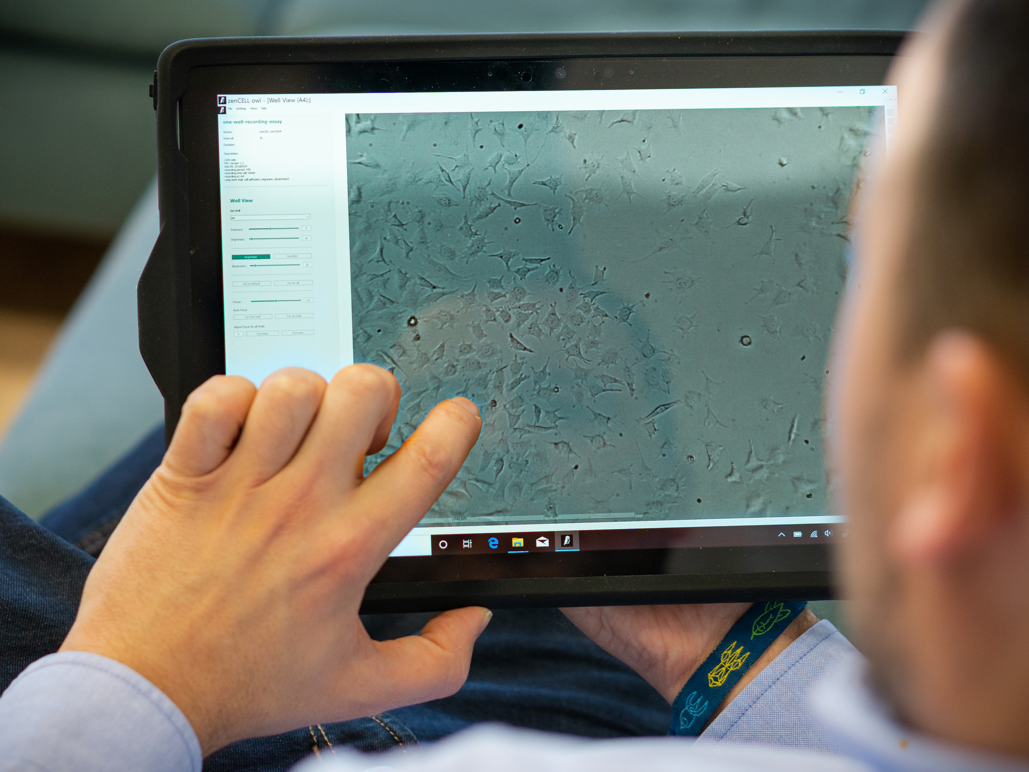 Scratch- & Migrationsassay