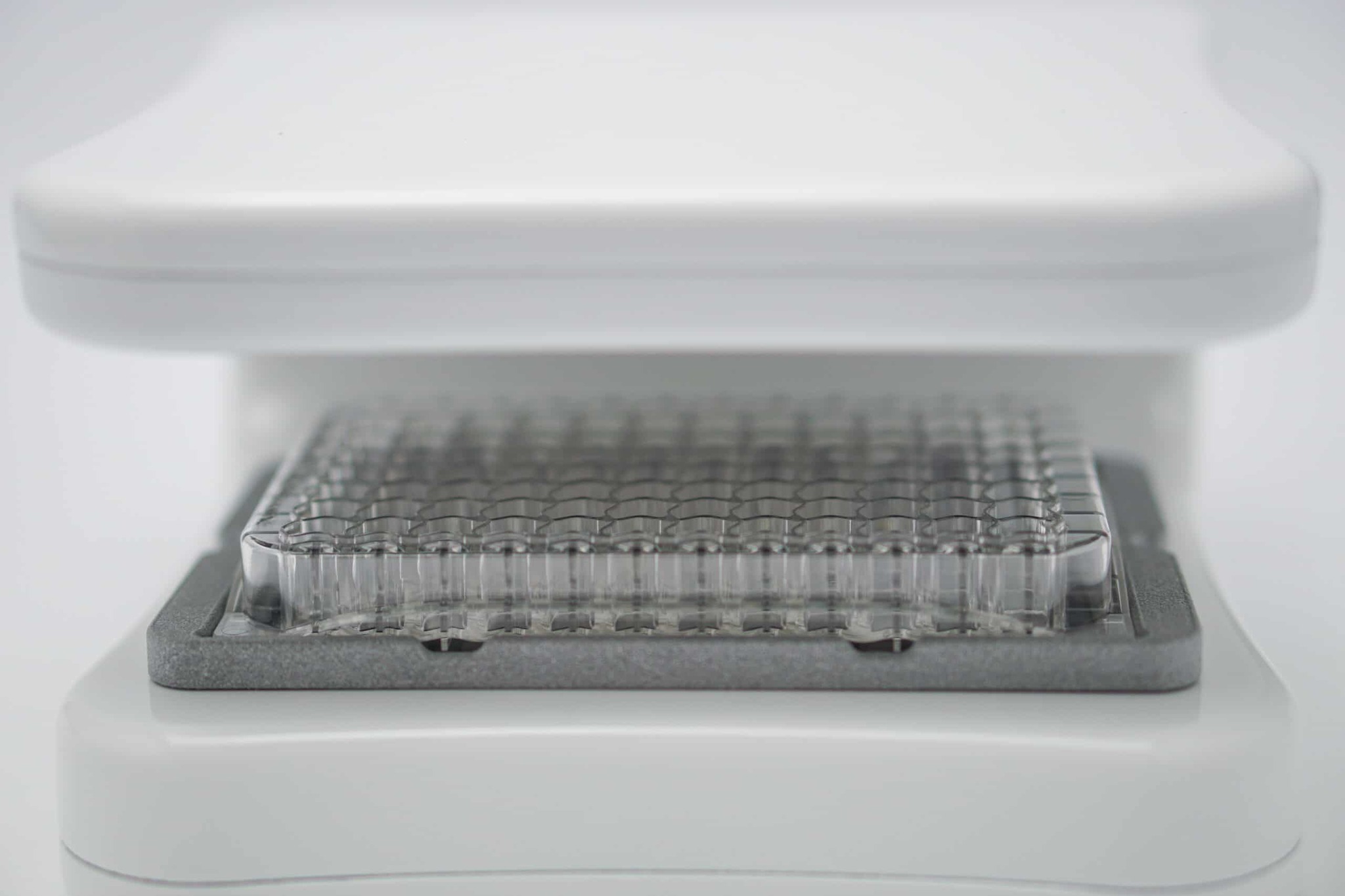 Zytotoxizitäts-Assay